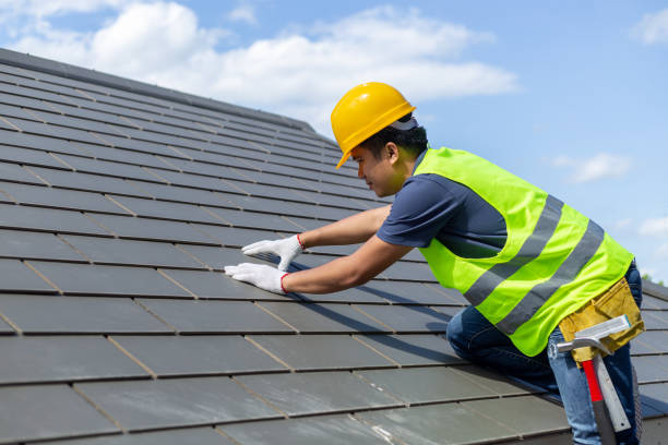 Best Local Roofing Companies  in Davison, MI