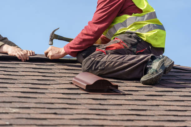 Best New Roof Installation  in Davison, MI