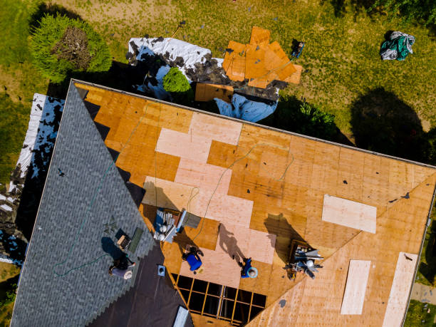 Best Roof Waterproofing Services  in Davison, MI