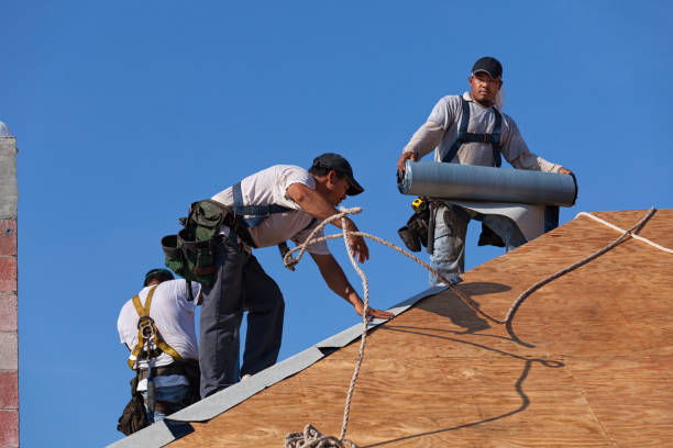 Best Heating Cable for Roof Installation  in Davison, MI