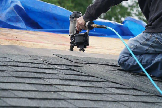 Best Roof Gutter Cleaning  in Davison, MI