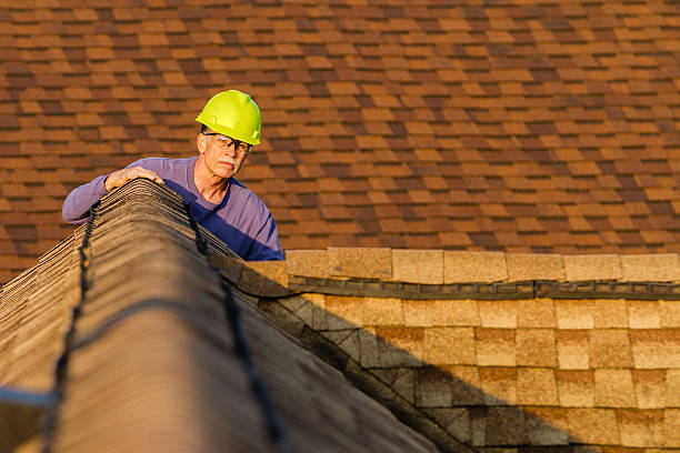 Best Slate Roofing Contractor  in Davison, MI