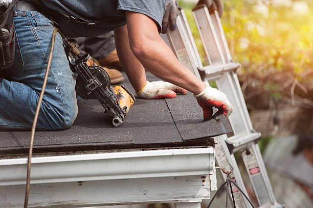 Best Best Roofing Contractors  in Davison, MI